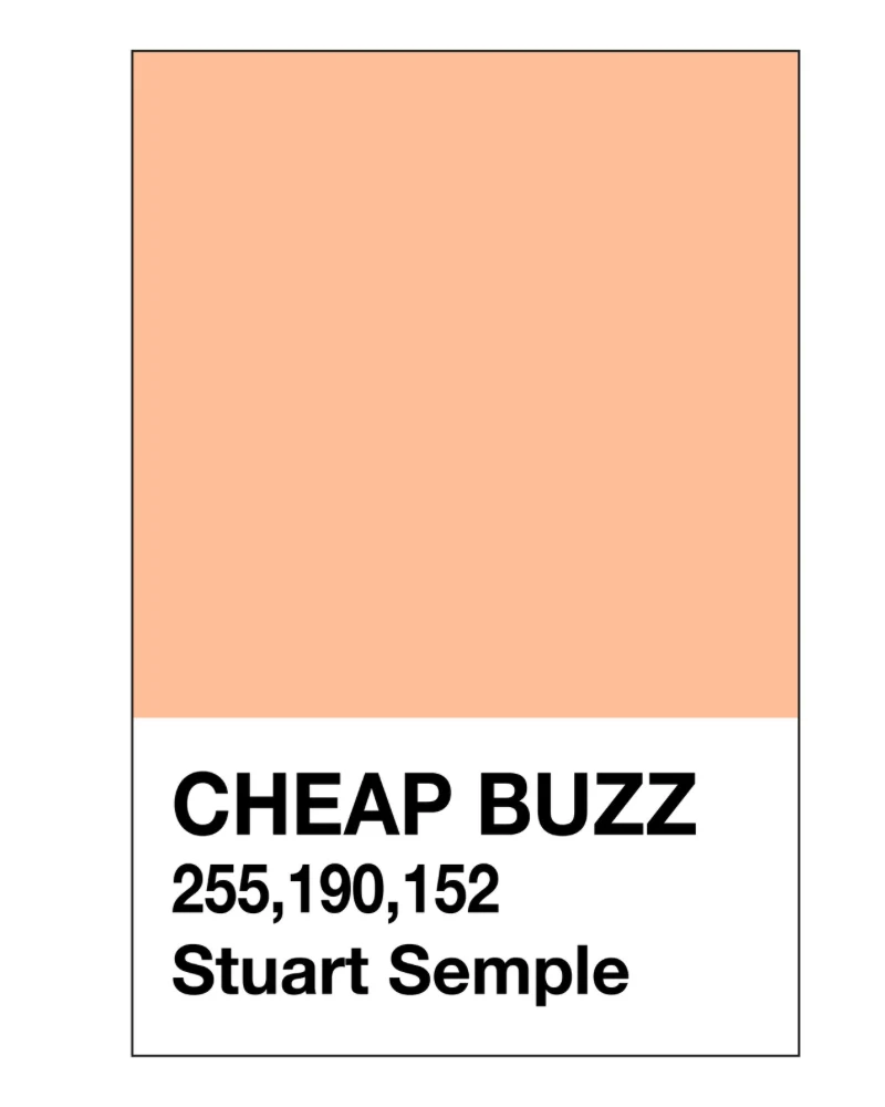 Cheap Buzz - 50g powder paint pigment - Not Peach Fuzz - Image 4