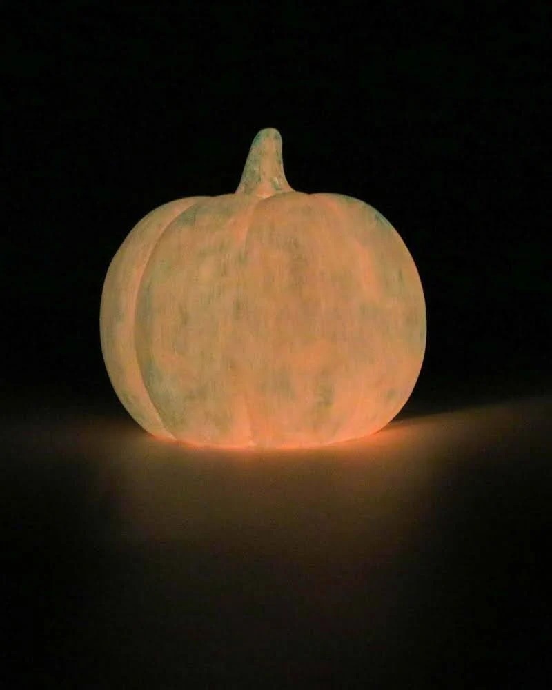 ECTO ORANGE - Officially the World’s Glowiest Orange - Image 3